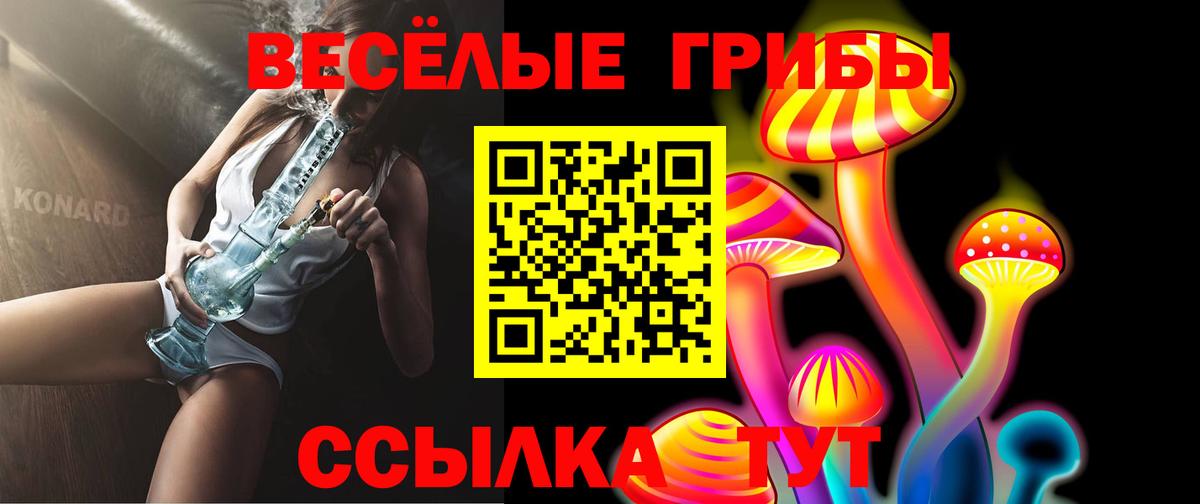 Псилоцибиновые грибы Magic Shrooms Гай