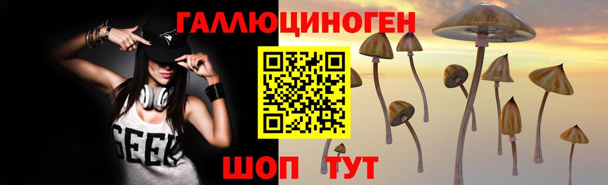 Гай  Псилоцибиновые грибы ЛСД  Вход с VPN 